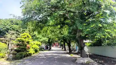 小幡八幡宮(群馬県)