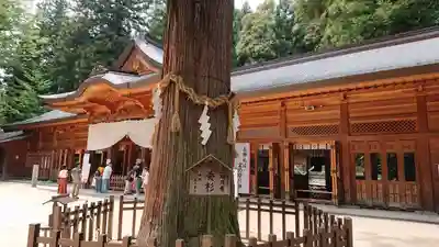 穂高神社本宮の本殿・本堂