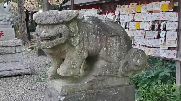菊田神社の狛犬