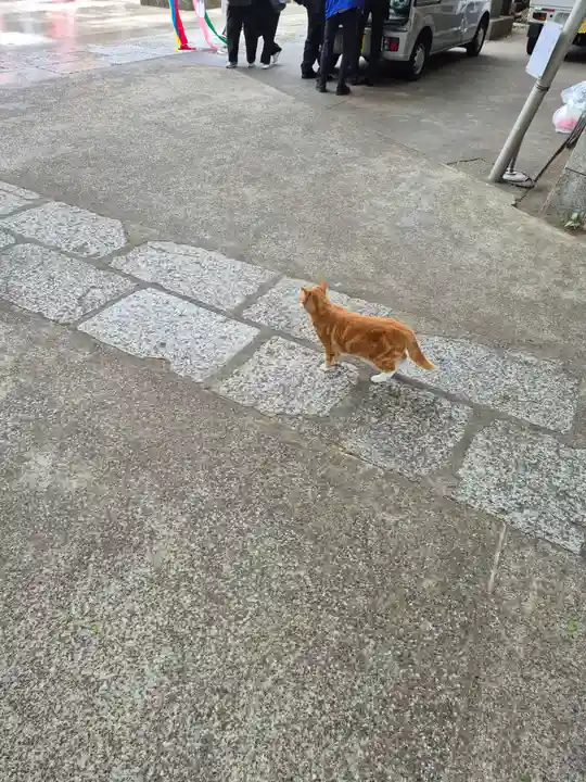 海南神社(神奈川県)