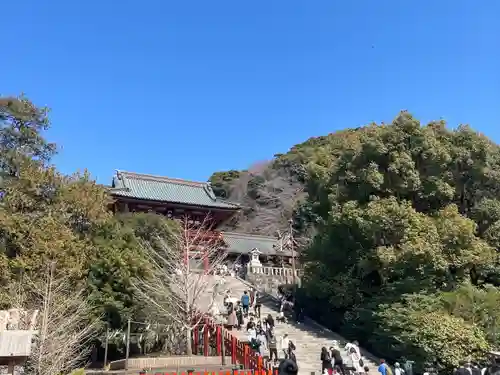 鶴岡八幡宮(神奈川県)