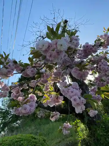 延命寺(福島県)