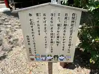 白鬚神社のその他建物