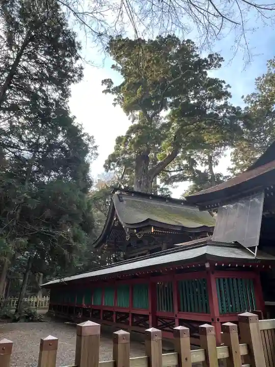 鹿島神宮(茨城県)