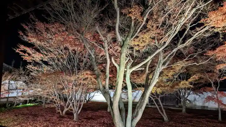 妙覺寺(妙覚寺)(京都府)