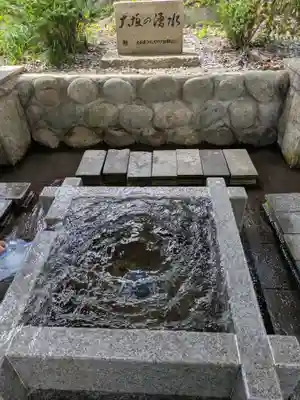 大垣八幡神社(岐阜県)