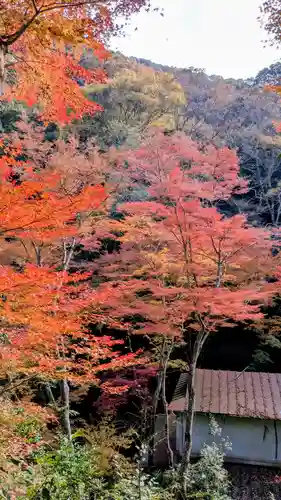勝尾寺(大阪府)