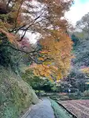 明月院(神奈川県)