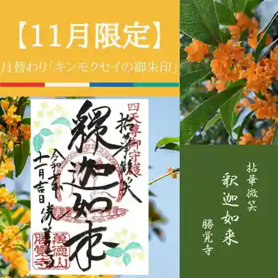 勝覚寺の御朱印