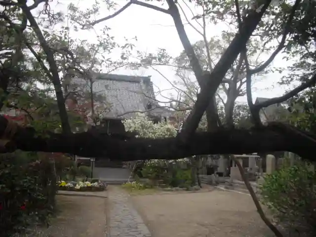 教恩寺のその他建物