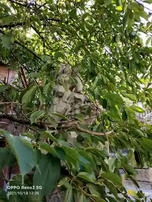 元三島神社の狛犬