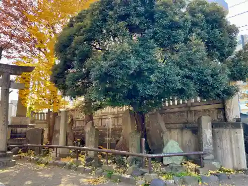白鬚神社(東京都)