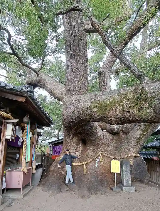 三島神社の自然