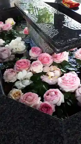 新琴似神社の手水舎