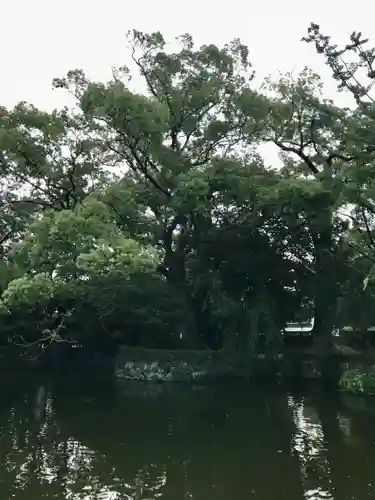 三嶋大社の景色