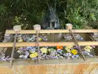 星宮神社(栃木県)