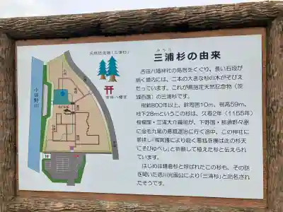 吉田八幡神社(茨城県)