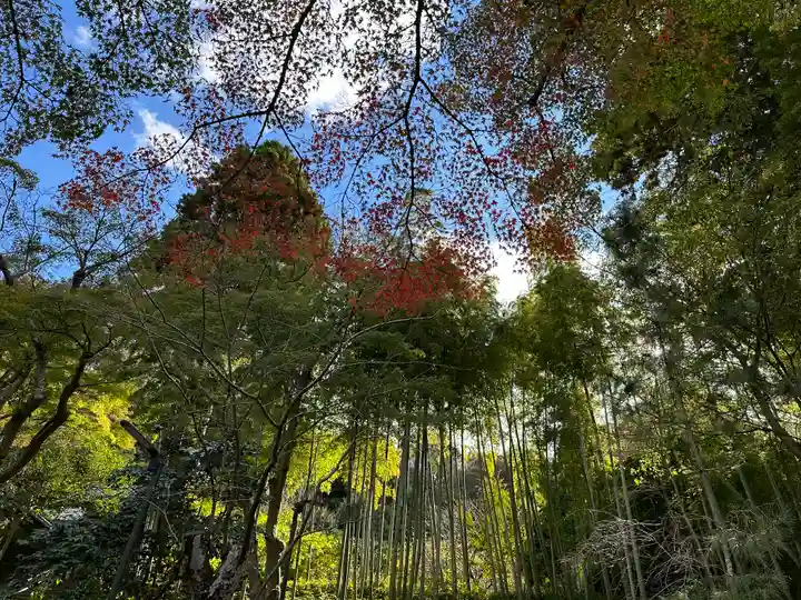 円覚寺(神奈川県)