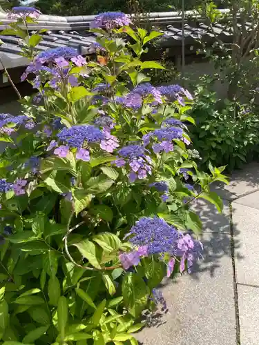 松嶺院(神奈川県)