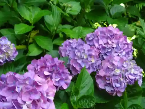 立志神社の自然