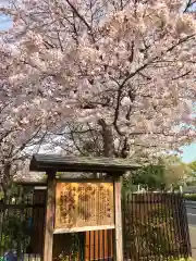 おりひめ神社の自然