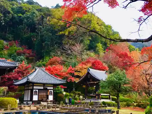 三室戸寺の景色