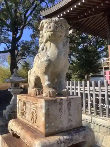 菟足神社の狛犬