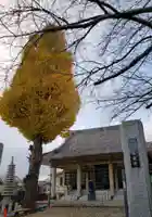 正蔵院の本殿・本堂