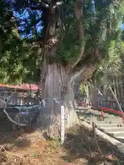 御座石神社(秋田県)