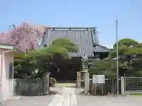 妙光寺(群馬県)