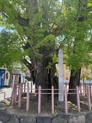 津島神社(愛知県)