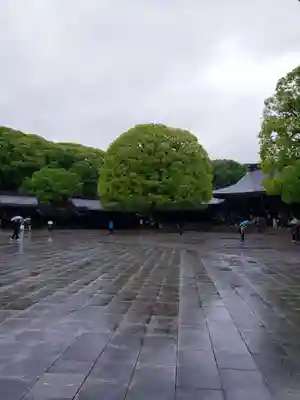 明治神宮(東京都)