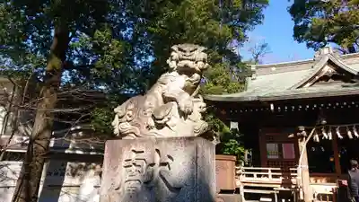 八雲氷川神社の狛犬