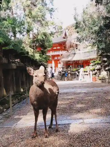 春日大社の{uncategorized: "未分類", other: "その他", undefined: "問題あり", building: "その他建物", grave: "お墓", sacred_gate: "鳥居", guardian: "狛犬", statue: "像", buddha: "仏像", history: "歴史", nature: "自然", garden: "庭園", animal: "動物", pagoda: "塔", temizu: "手水舎", mountain_gate: "山門・神門", sanctuary: "本殿・本堂", subordinate: "末社・摂社", art: "芸術", scenery: "景色", jizo: "地蔵", ema: "絵馬", goshuin: "御朱印", omikuji: "おみくじ", items: "授与品その他", amulet: "お守り", goshuincho: "御朱印帳", eats: "食事", festival: "お祭り", votive_dance: "神楽", shichigosan: "七五三参", wedding: "結婚式", experience: "体験その他", initially: "初詣", around: "周辺", anti_infection: "感染症対策"}