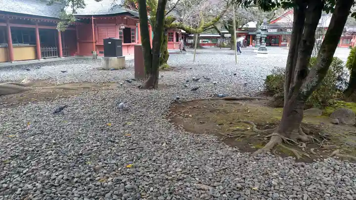 富士山本宮浅間大社(静岡県)
