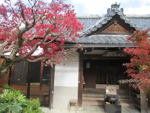 念仏寺（大原念佛寺）の自然
