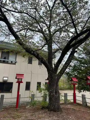 笠科神社(群馬県)