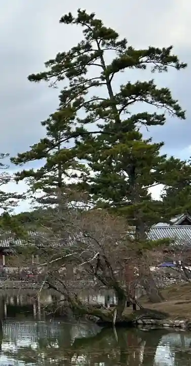 厳島神社(東大寺境内社)(奈良県)