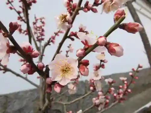 菅原天満宮（菅原神社）の自然