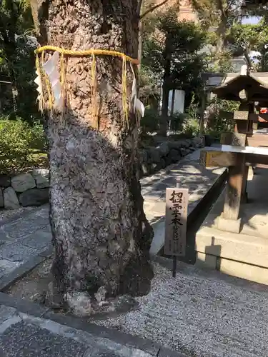 大将軍八神社(京都府)