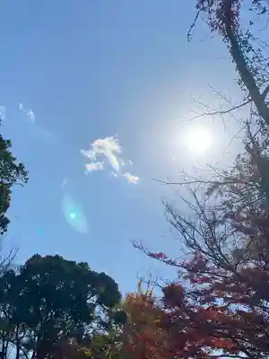 出雲大神宮(京都府)
