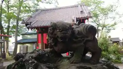 今井神社の狛犬