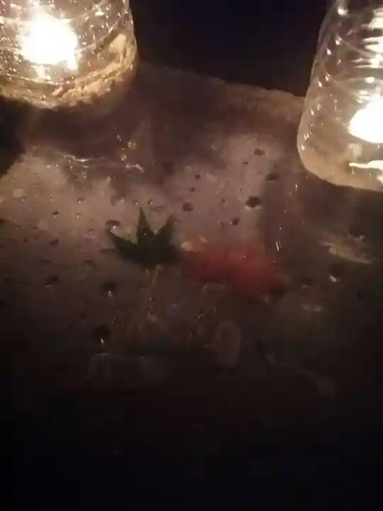 伏木香取神社の手水舎