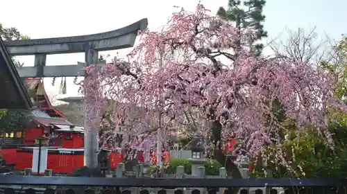 車折神社の自然