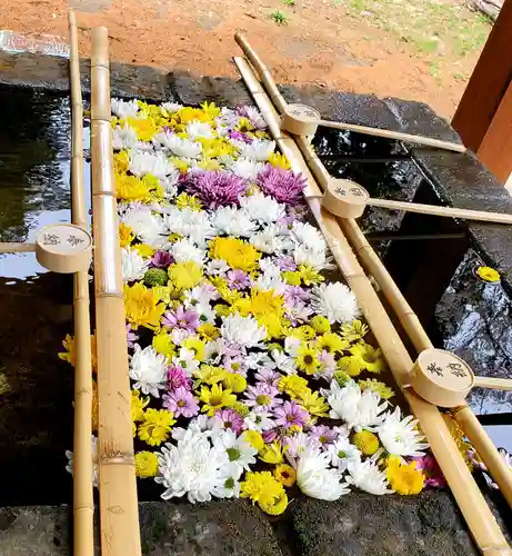 土津神社｜こどもと出世の神さまの手水