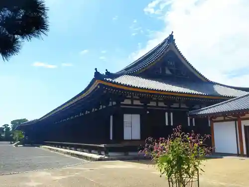 蓮華王院（三十三間堂）(京都府)