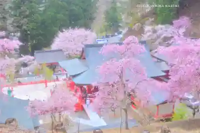 金櫻神社(山梨県)