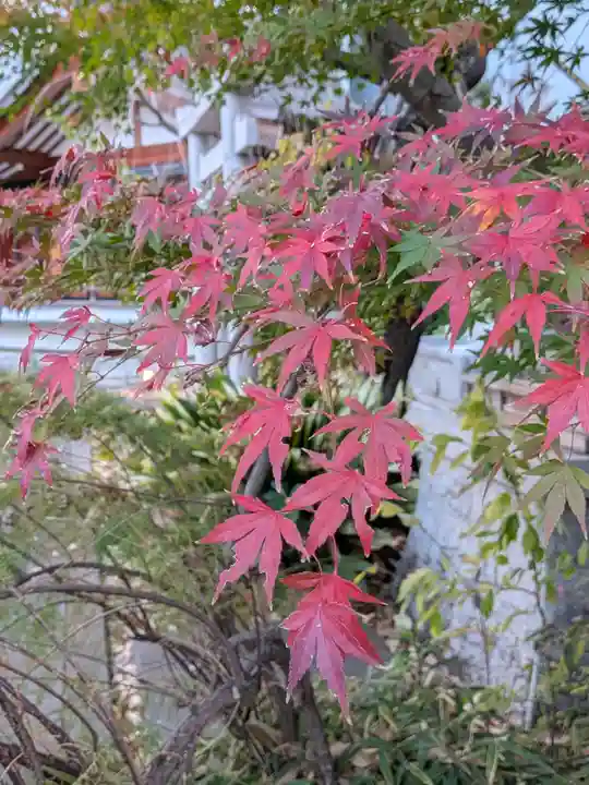 成子天神社(東京都)