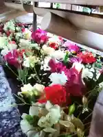 鳩森八幡神社の手水舎