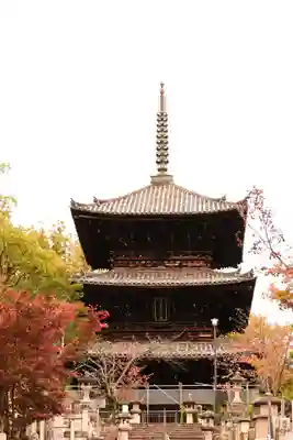 くろ谷 金戒光明寺(京都府)